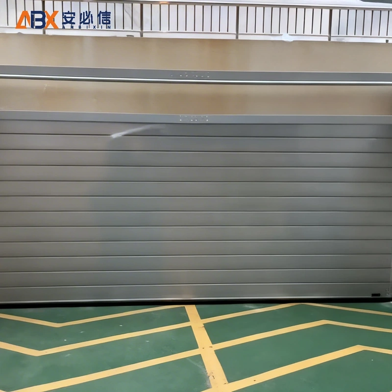 荆州市感应高速门